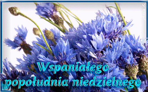Wspaniałego niedzielnego popołudnia